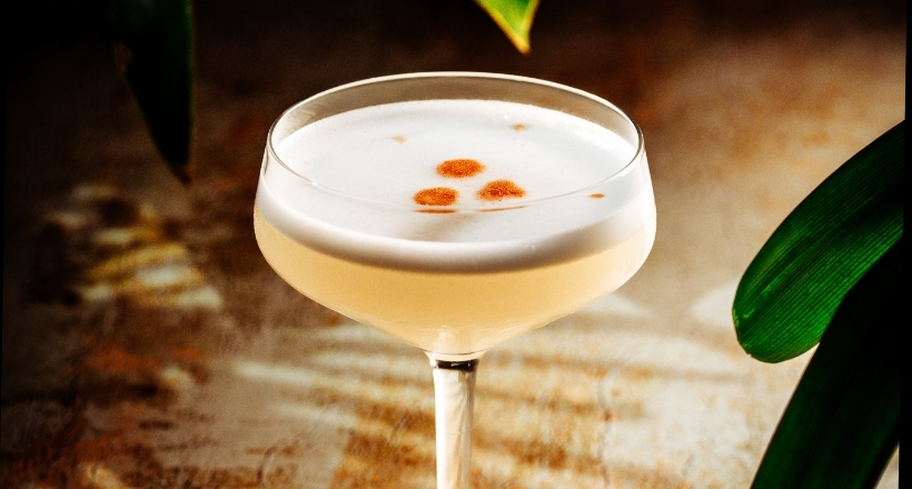 Ein stilvolles Cocktailglas mit einem schaumigen Getränk und Zitrusdekoration, umgeben von grünen Blättern auf einem Tisch.