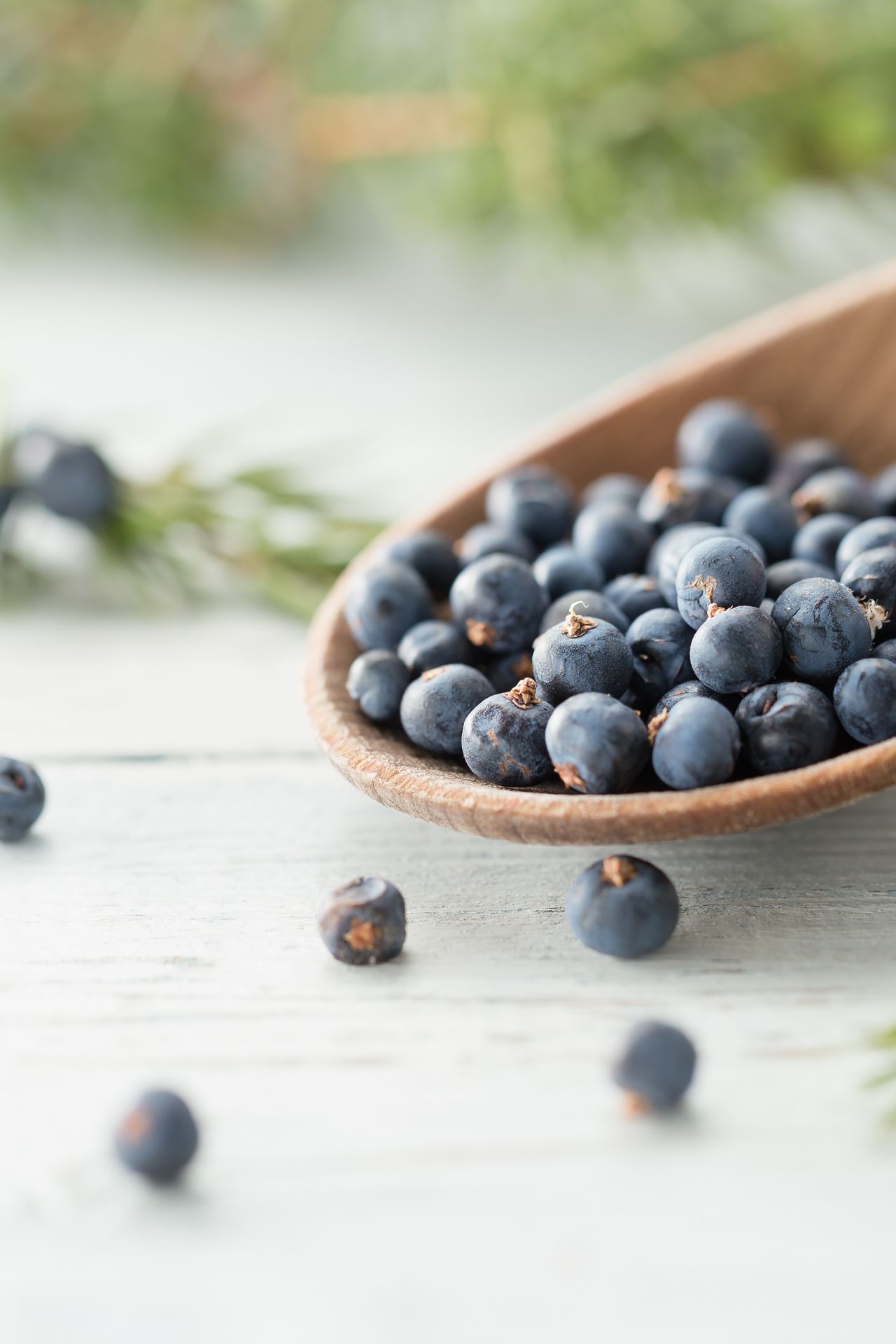 Nahaufnahme von Wacholderbeeren in einem Holzlöffel auf hellem Untergrund