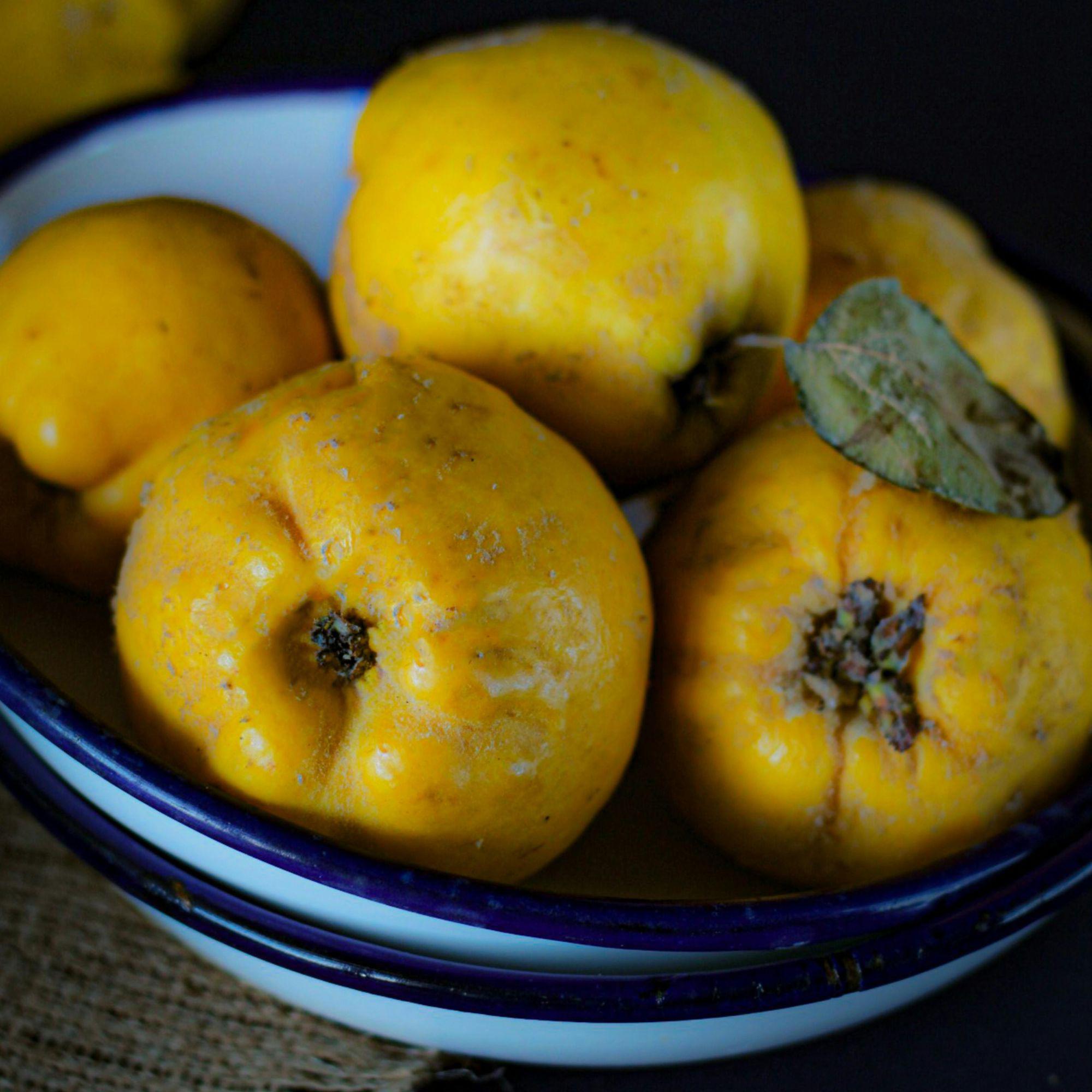 Eleganter Quittenlikör – Selection – in Mini-Apothekerflasche