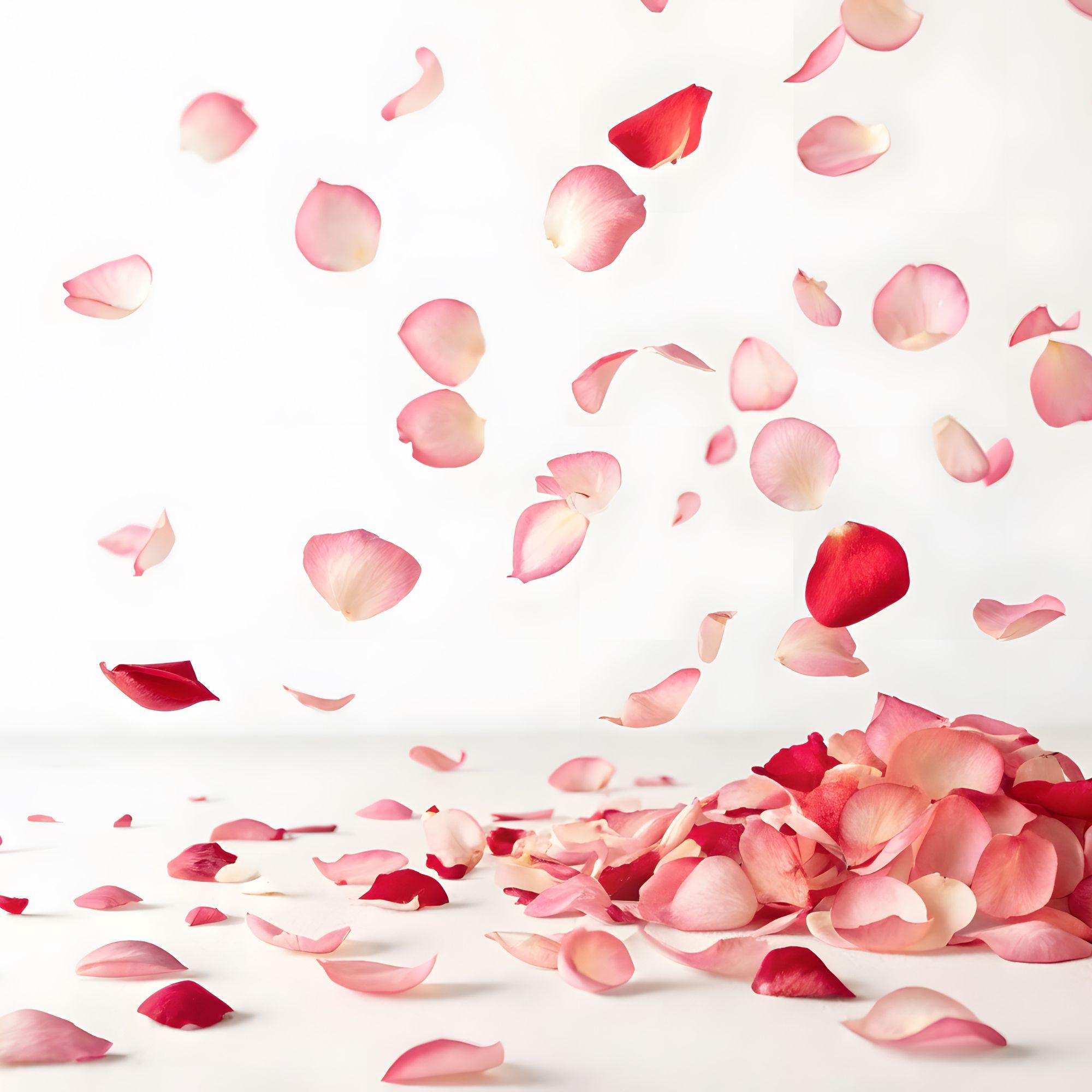 Gmeiner Rose – Edle Zartbitterschokolade mit kandierten Rosen