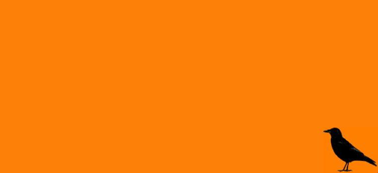Krähensilhouette in orangem Rechteck