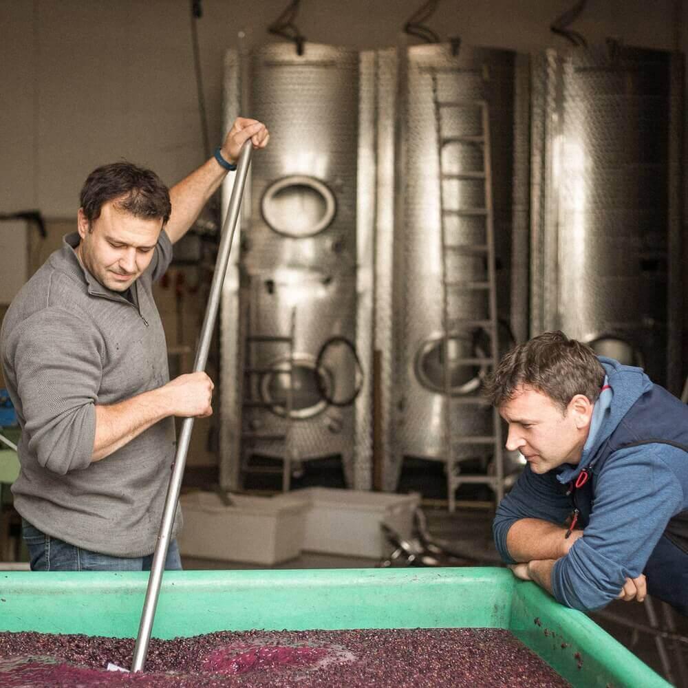 Karl May Blutsbruder Cuvée trocken BIO  – Edler Rotwein aus ökologischem Anbau