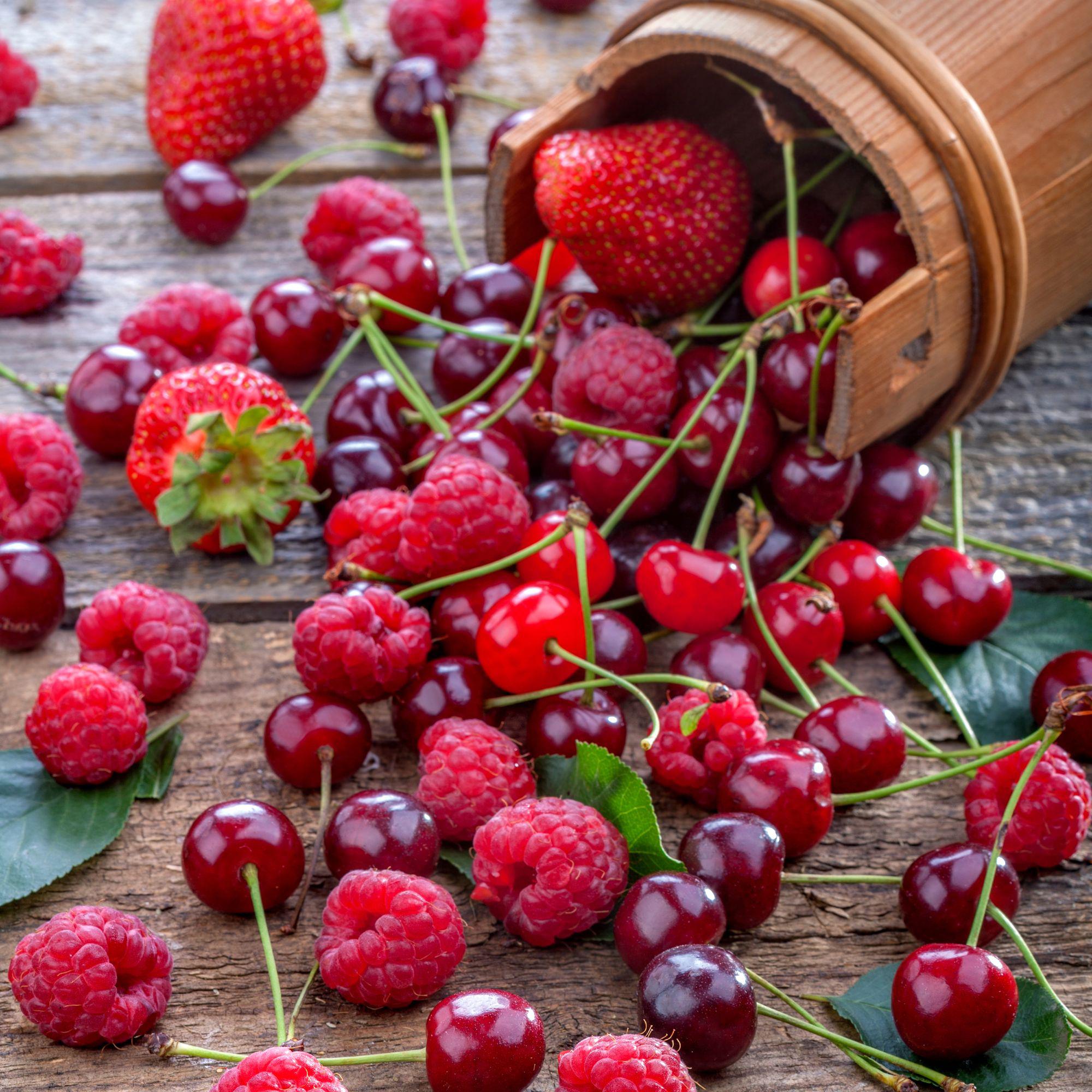 Confiserie Früchtetopf mit Cointreau - Ideal für Desserts oder Früchtetopf -Cointreau-Tiramisu