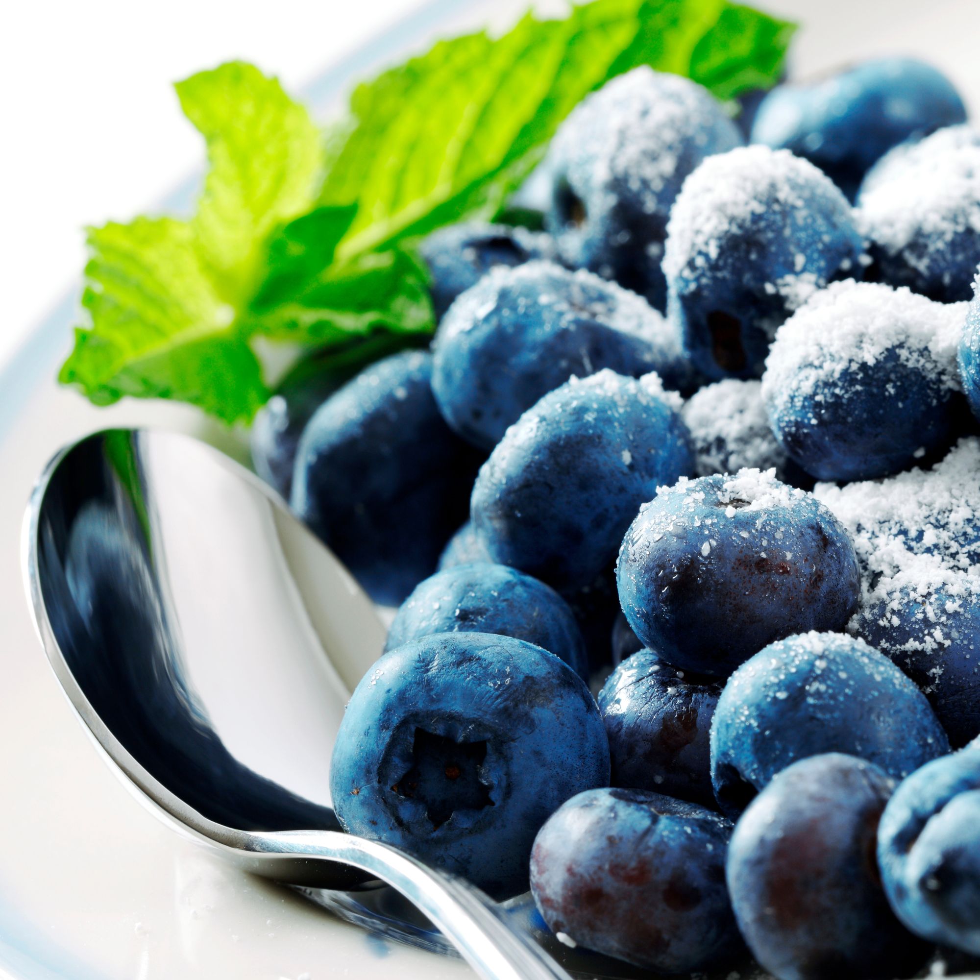 Ein Löffel mit frischen Heidelbeeren, bestreut mit Puderzucker, garniert mit Minzblättern
