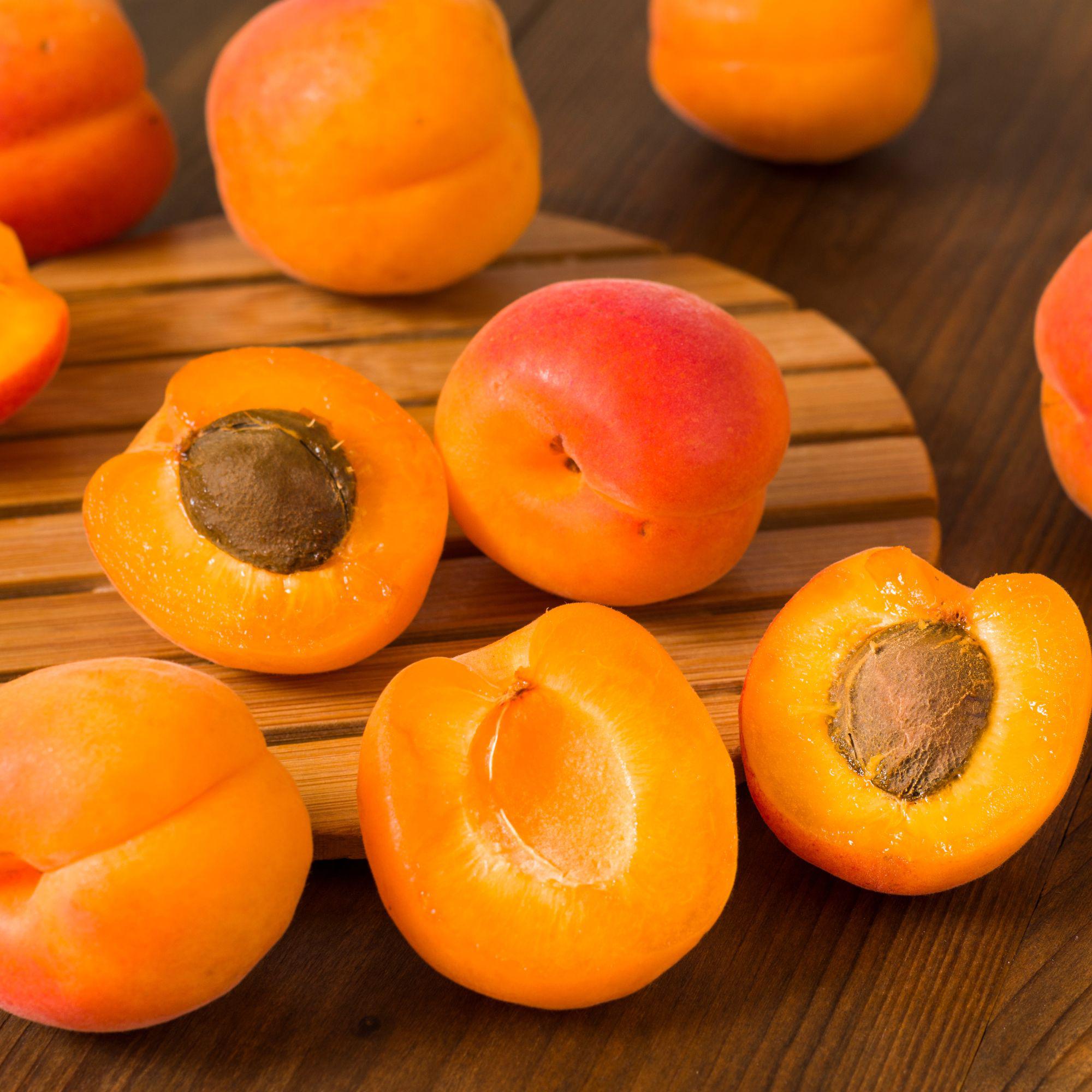 Wilkin & Sons 'Tiptree' Apricot Konfitüre – Feine Aprikosenmarmelade im Mini-Glas